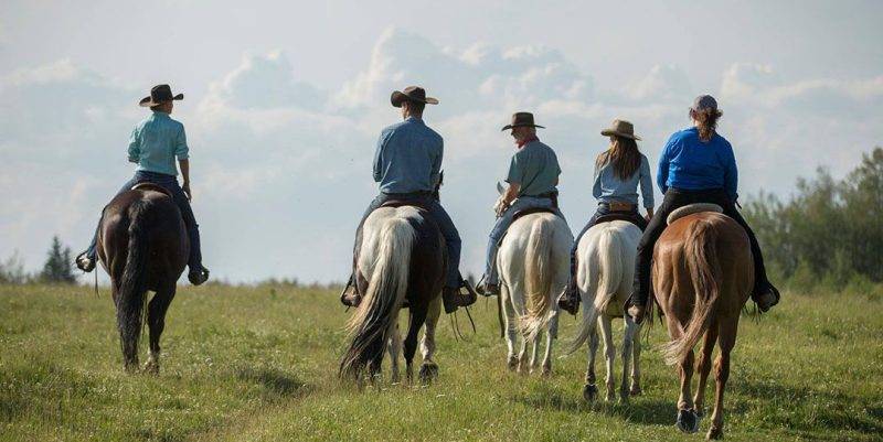 Moose Mountain Ranch - Bragg Creek