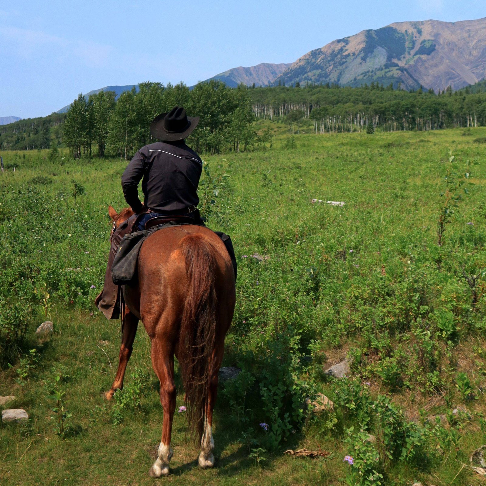 à cheval à Grande Cache - Tourisme Alberta - Pascale Gaudet