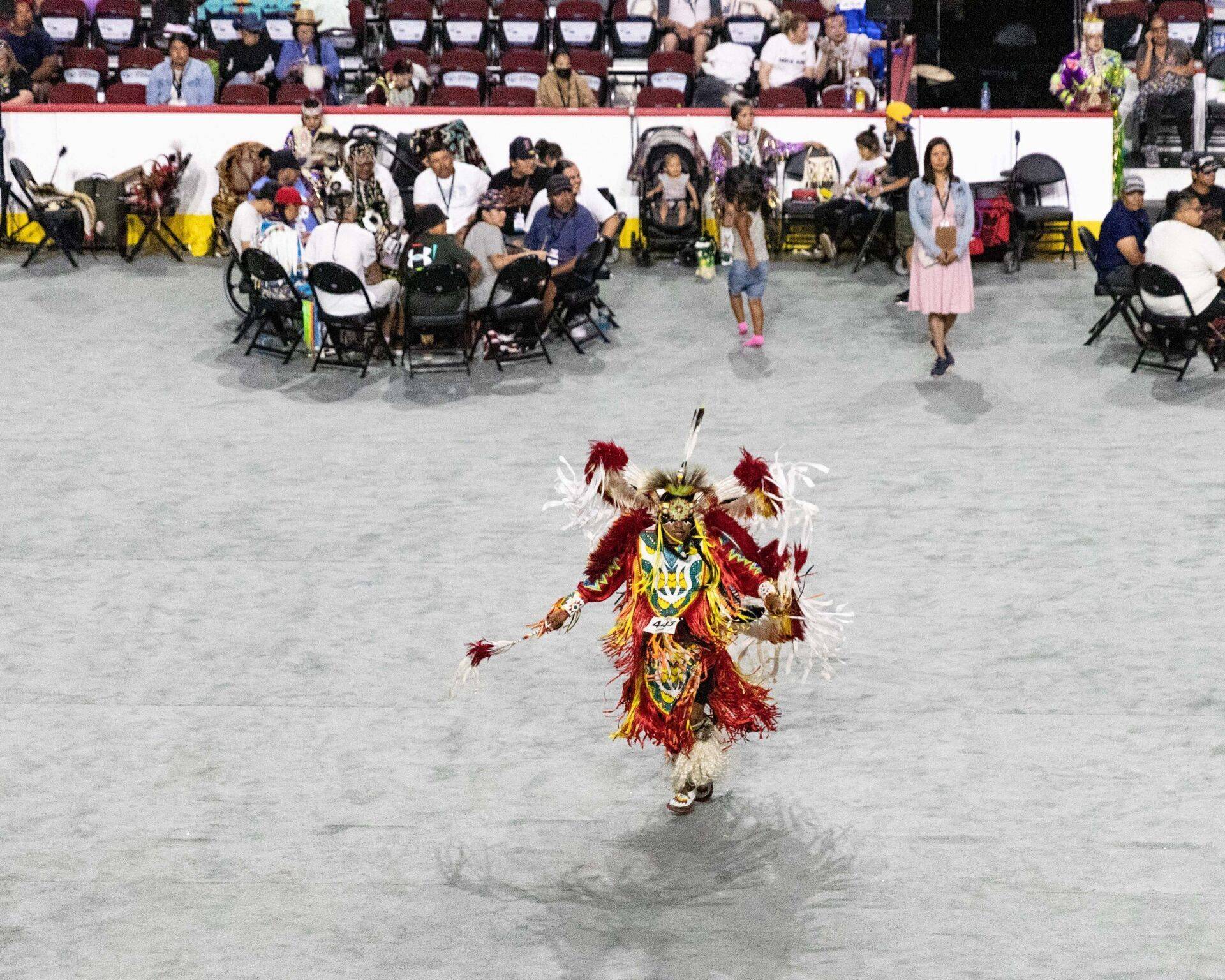 Danse Pow wow Stampede - Marie Naudon