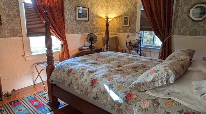 t-rex b&b2 -CR-facebook