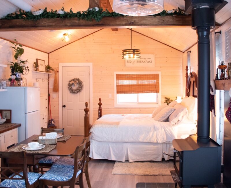Cabin in the wood-CR- Cabin in the wood