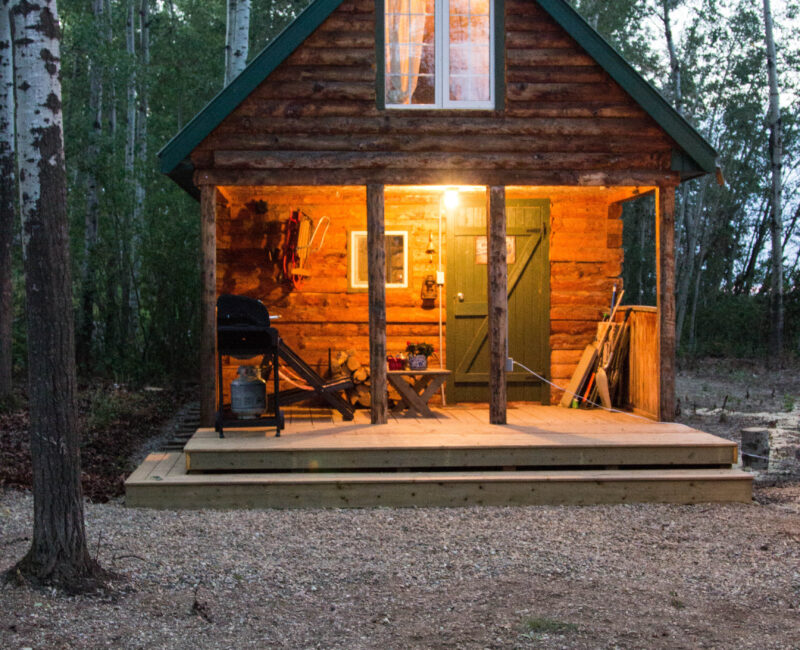 Cabin in the Woods