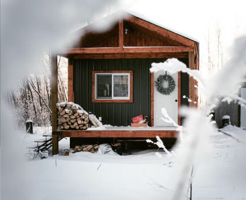 Cabin in the woods2-CR-website caininthewood