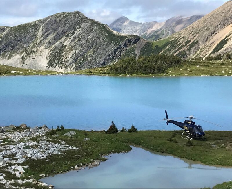 GEMINI HELI3 -CR-Website geminiheli