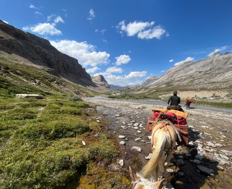 Indian trail adventure -CR-Website indiantrailadventure