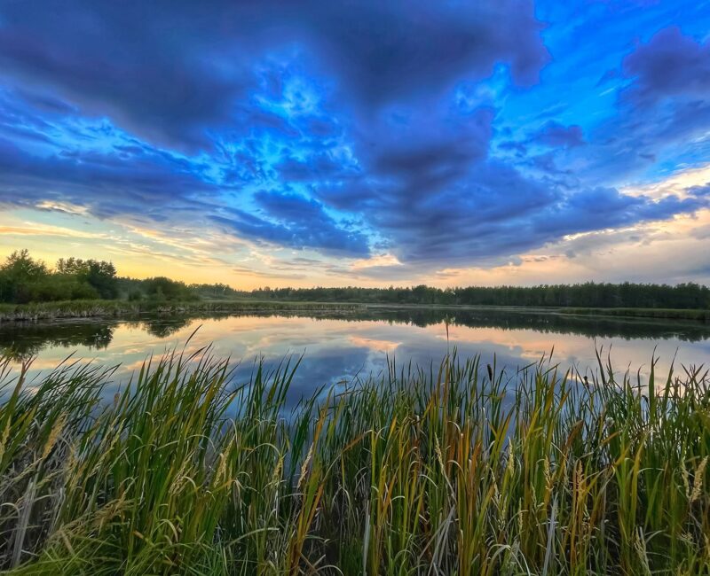 Jack Bird Pond5-CR-website saddle hills