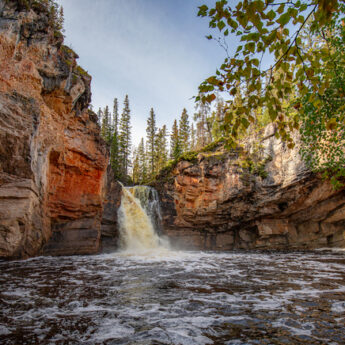 McNallie-Creek_NWT_-CR-Julien-Schroder