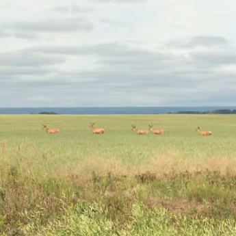 Notikewin Provincial Park4-CR-Webstite travel alberta