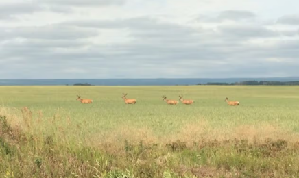Notikewin Provincial Park4-CR-Webstite travel alberta