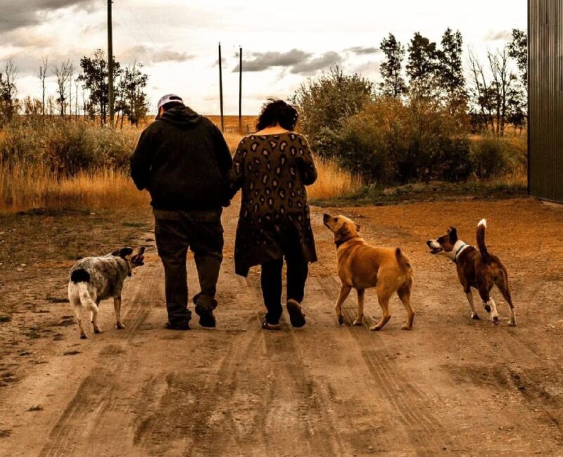 black bear creek farms-CR-website blackbearcreekfarms