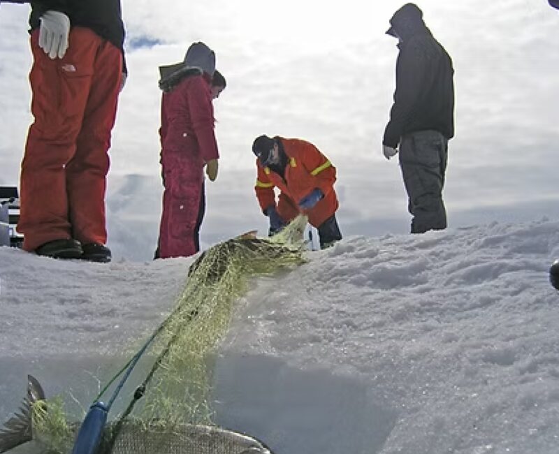 great slave lake tour2-CR- website nwtfishingtours