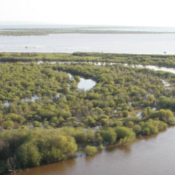 hay-zama-lake-wpp-CR-website alberta parks