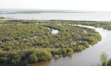 hay-zama-lake-wpp-CR-website alberta parks