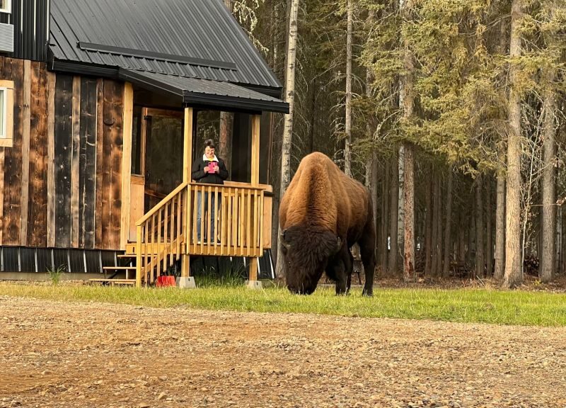 zama city campground-CR-website zama city