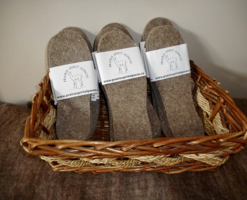 prairie spirit alpacas7-CR-facebook